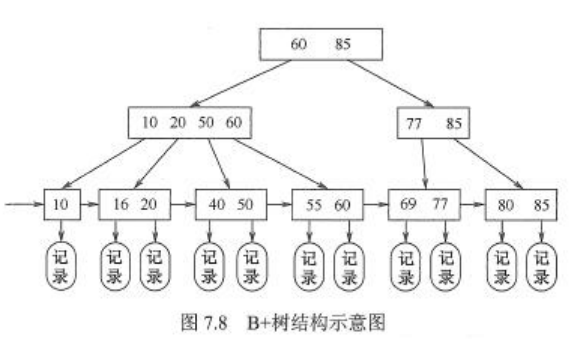 B+树结构示意图